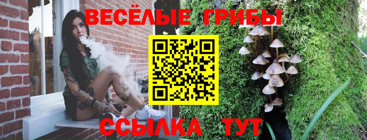 Псилоцибиновые грибы Magic Shrooms Мегион
